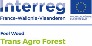 Trans Agro Forest