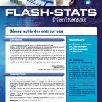 Flash-stats-Hainaut 2010/06 - Démographie des entreprises