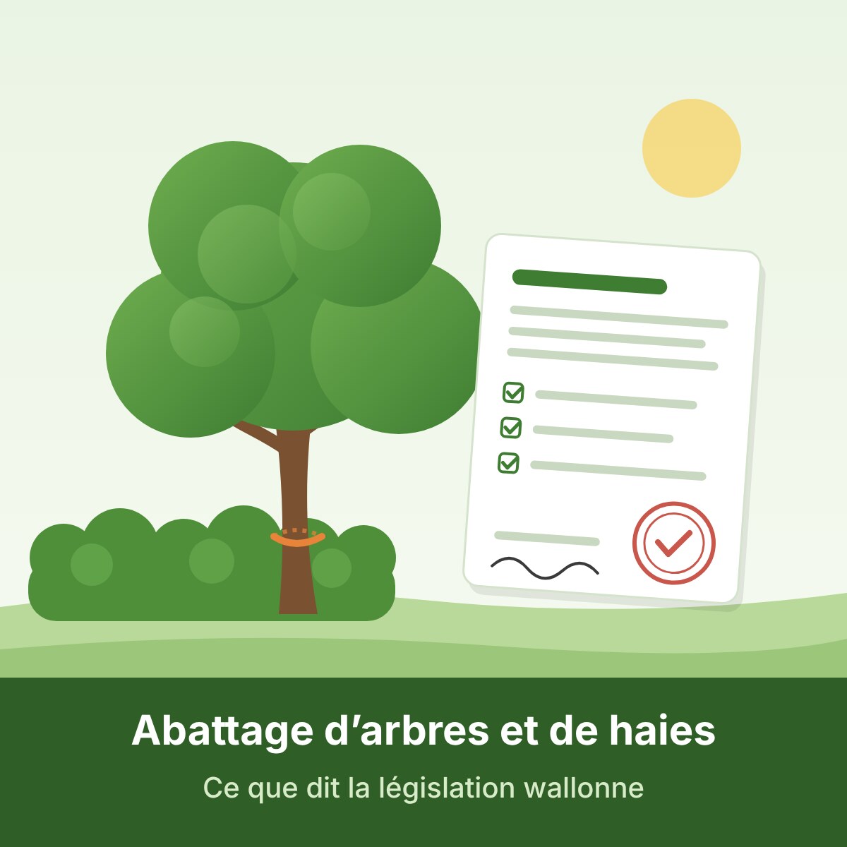 Illustration : un arbre, une haie et un permis d'urbanisme validé – législation wallonne sur l'abattage d'arbres et de haies