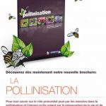 La pollinisation
