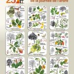 2008 - 25e anniversaire de la Journée de l'Arbre (2 posters)