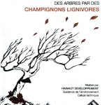 Dynamique de dégradation des arbres par des champignons lignivores en téléchargement uniquement