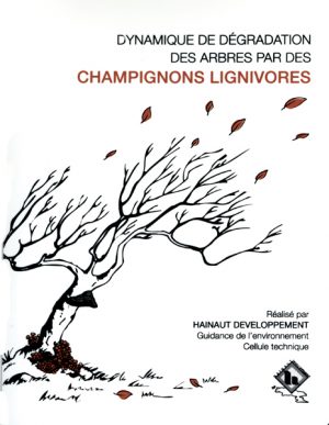 Dynamique de dégradation des arbres par des champignons lignivores en téléchargement uniquement