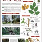 2015 - L'année du Charme
