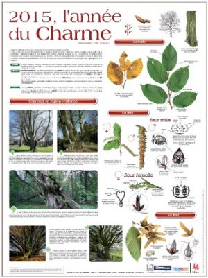 2015 - L'année du Charme