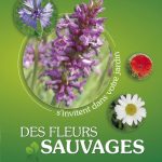 Des fleurs sauvages...