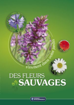 Des fleurs sauvages...