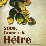 Le hêtre