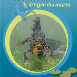 Le dragon des mares