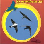 Les acrobates du ciel