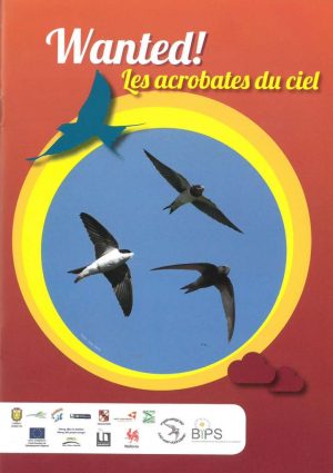 Les acrobates du ciel