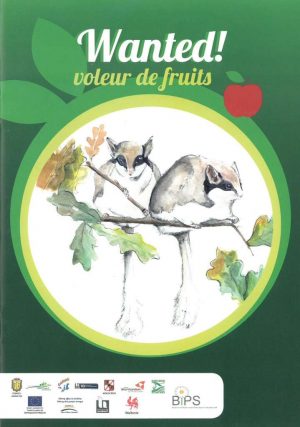 Voleur de fruits - Le lérot