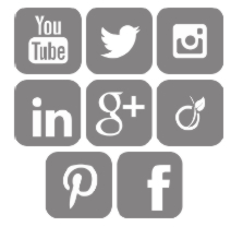 Boostez votre présence en ligne et développez votre Business :  Médias sociaux