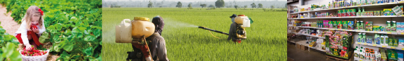 Vous voulez contribuer à l'évaluation de la législation européenne sur les produits phytopharmaceutiques et les résidus de pesticides ?