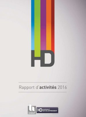 Rapport d'activités 2016