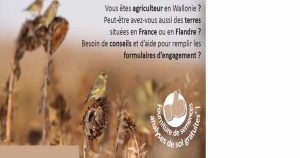 Les Mesures Agro-Environnemantales et Climatiques (MAEC) et les Surfaces d'Intérêt Ecologique (SIE)