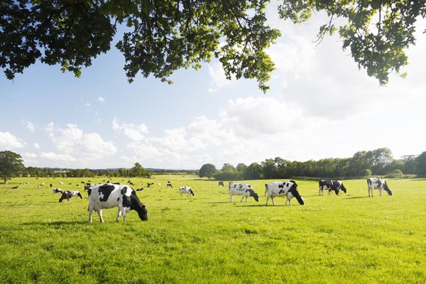 Actualités DS Web, Natura 2000 et programme agro-environnemental