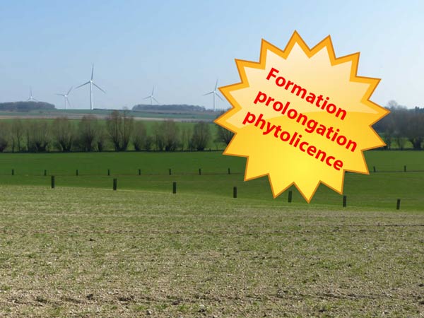 Formation agricole "La gestion des adventices en prairie. La rénovation et sursemis des prairies."