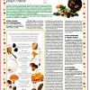 Mycologie (expo en prêt) – Image 2