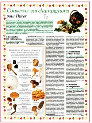 Mycologie (expo en prêt) – Image 2