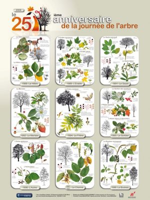 Année de l'Arbre (expo en prêt) – Image 4