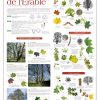 Année de l'Arbre (expo en prêt)