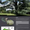 Les arbres remarquables (expo en prêt) – Image 5