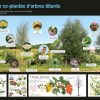 Les différents types de haies (expo en prêt) – Image 2