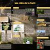 La forêt (expo en prêt) – Image 3