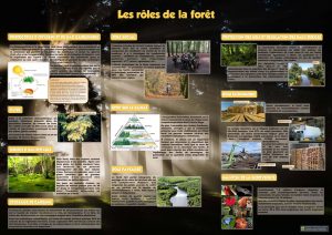 La forêt (expo en prêt) – Image 3