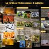 La forêt (expo en prêt) – Image 4