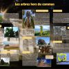 La forêt (expo en prêt) – Image 5