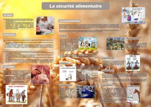 De la ferme à l'assiette (expo en prêt) – Image 5