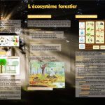 La forêt (expo en prêt)