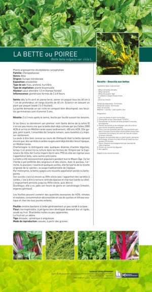 Le cercle des légumes retrouvés (expo en prêt)