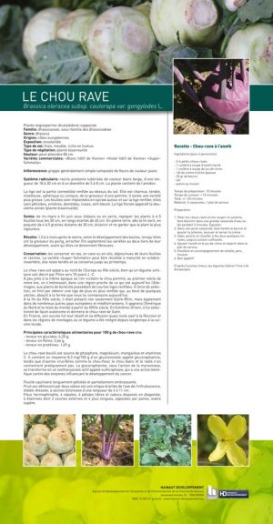 Le cercle des légumes retrouvés (expo en prêt) – Image 2