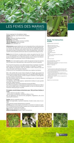 Le cercle des légumes retrouvés (expo en prêt) – Image 3