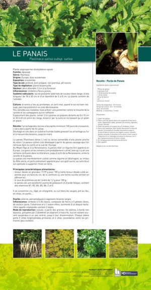 Le cercle des légumes retrouvés (expo en prêt) – Image 4