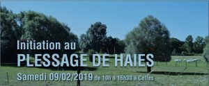 Le plessage de haies vives