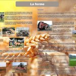 De la ferme à l'assiette (expo en prêt)