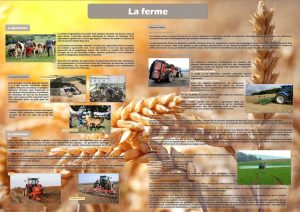 De la ferme à l'assiette (expo en prêt)