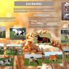 De la ferme à l'assiette (expo en prêt) – Image 3