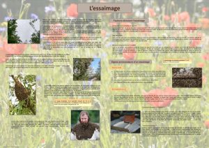 L'abeille et le monde de la ruche (expo en prêt) – Image 5