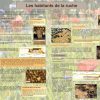 L'abeille et le monde de la ruche (expo en prêt) – Image 2