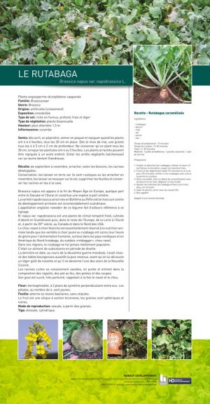 Le cercle des légumes retrouvés (expo en prêt) – Image 5