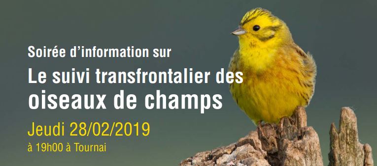 Soirée d’information sur Le suivi transfrontalier des oiseaux de champs