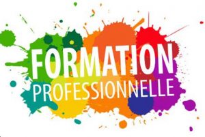 Formation professionnelle