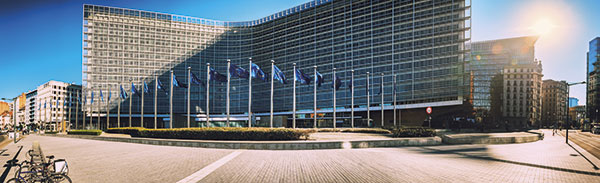 Visite des Institutions européennes pour les mandataires locaux