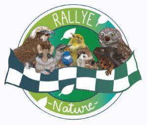 Rallye nature en Hainaut