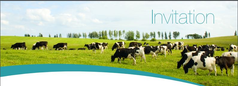 Séance d'information: Les nouveautés en matière d'antibiotiques pour le secteur bovin